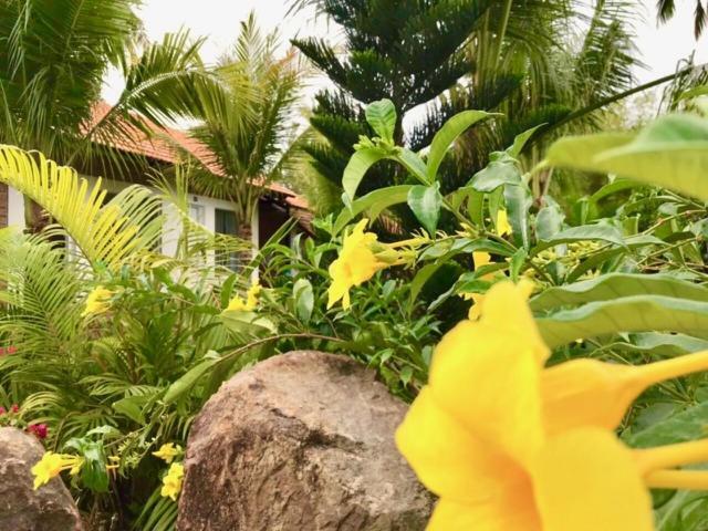 Bamboo Garden Resort Phu Quoc Esterno foto