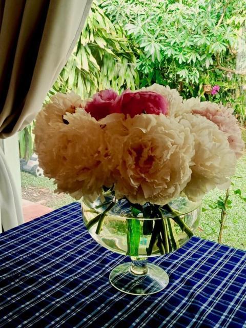 Bamboo Garden Resort Phu Quoc Esterno foto
